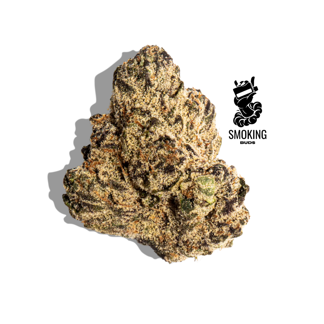 Smoking Buds cannabis dispensary